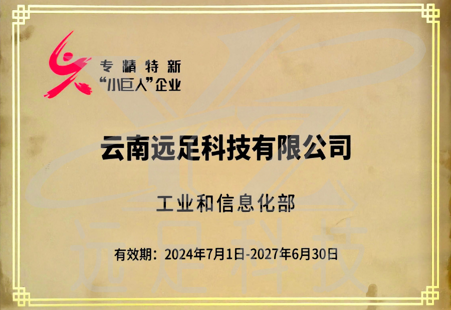 國(guó)家(jiā)專精特新小(xiǎo)巨人(rén)企業(yè)